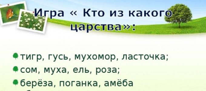 Презентация на тему основные среды жизни