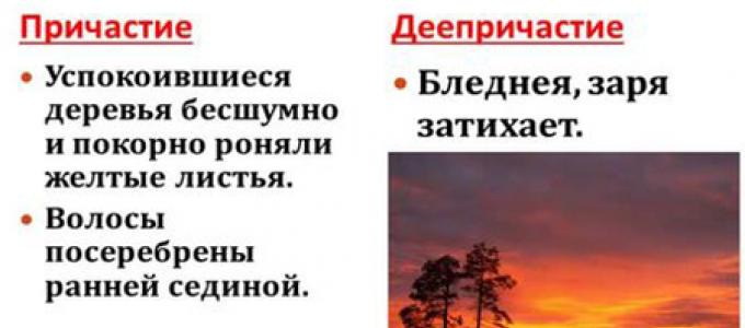 Причастие и деепричастие