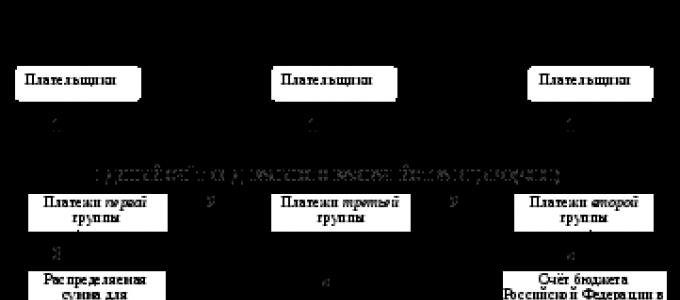 Таможенное администрирование на современном этапе: достижения и перспективы (Шохин С